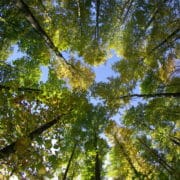 Imaginactif devient la 1ère agence de communication du Grand-Ouest membre de 1% for the Planet !