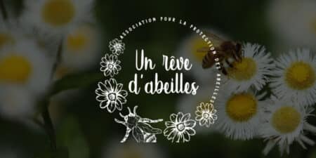 1-percent-un-reve-d-abeille
